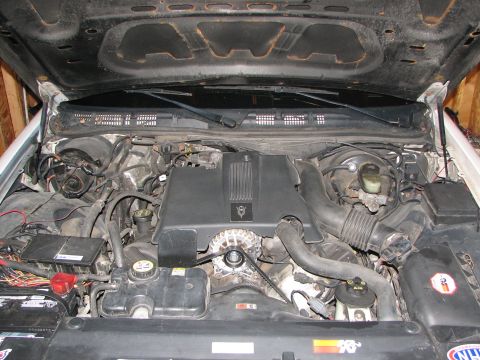 2003 Ford Crown Victoria - The engine bay of a 2003 Ford Crown Victoria, its V8 engine and associated components.