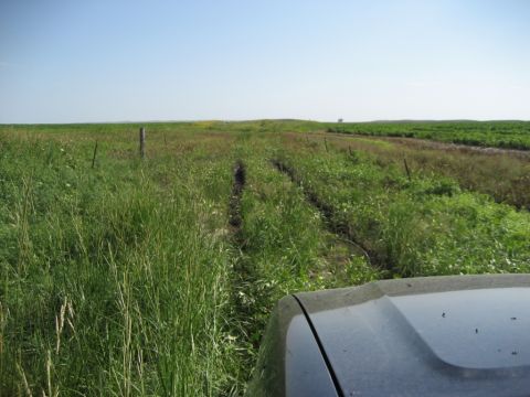1990 Ford Ranger photo