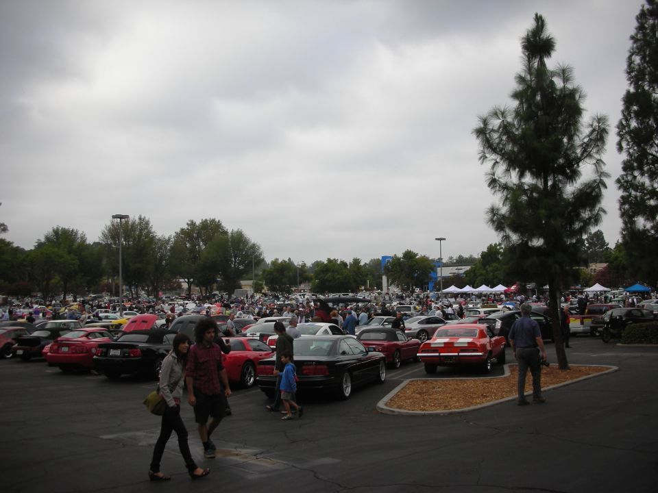 Outdoor car meet with dozens of cars parked and people walking around