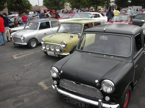 1998 Ford Crown Victoria - A gathering of classic Mini Coopers, including a black model with red wheels and 'COOPER' plate.