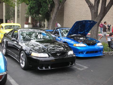 1998 Ford Crown Victoria - A black Ford Mustang is parked at a car meet, with a blue convertible Mustang with its hood open beside it.