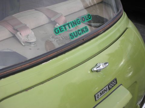 1998 Ford Crown Victoria - A light green Mini 1000 shows a humorous sticker on its rear window.