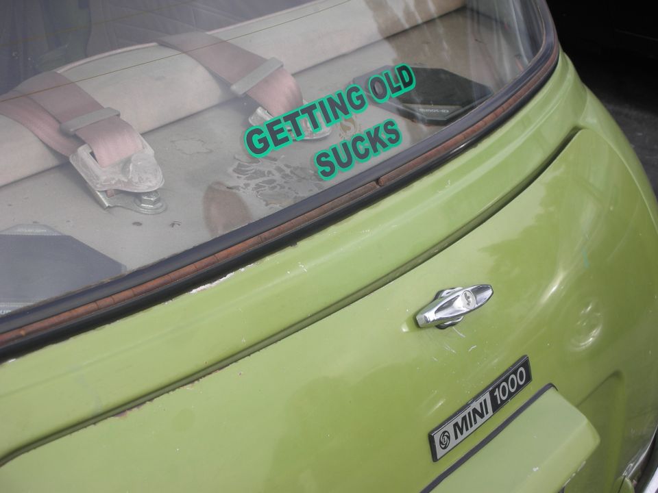 Light green Mini 1000 rear quarter panel and window with a "GETTING OLD SUCKS" sticker