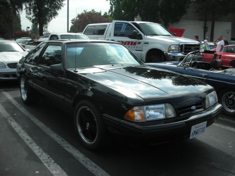 1998 Ford Crown Victoria - Black 1987 Ford Mustang hatchback at a car meet.