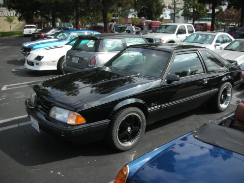 1998 Ford Crown Victoria - A black Ford Mustang coupe is parked in a lot with other vehicles.