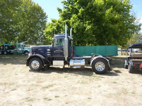 1981 Kenworth W900A - A dark blue semi-truck with a green trailer is parked on dry grass next to other vehicles.