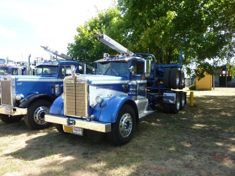 1981 Kenworth W900A - A pair of blue semi-trucks, including a 1981 Kenworth W900A, are parked on a grassy area under trees.