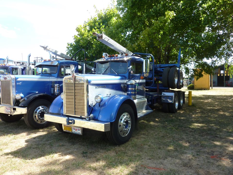 Two blue semi-trucks parked side-by-side. The truck in front is a 1981 Kenworth W900A