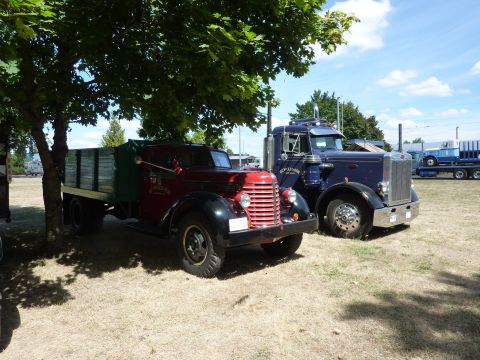 1981 Kenworth W900A - Two trucks are parked side-by-side on a sunny day.