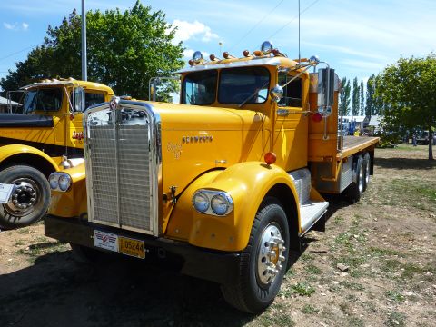 1981 Kenworth W900A - A yellow Kenworth truck is parked outdoors, with another truck visible behind it under a blue sky.
