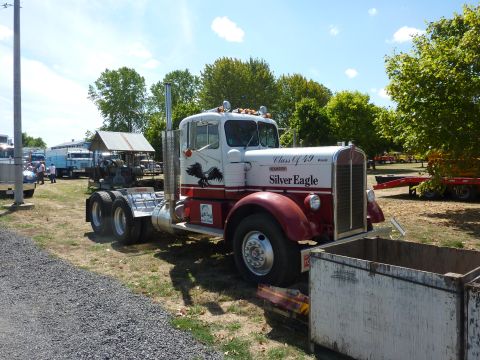 1981 Kenworth W900A - A classic Kenworth truck, painted white and red with eagle graphics, sits parked in an outdoor lot.