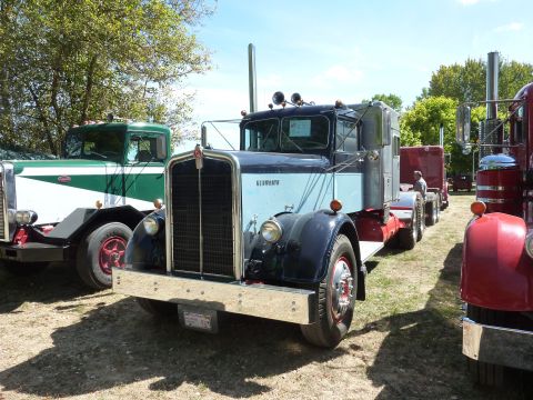 1981 Kenworth W900A - A vintage Kenworth truck with a distinctive grille and two-tone paint scheme is displayed alongside other trucks.