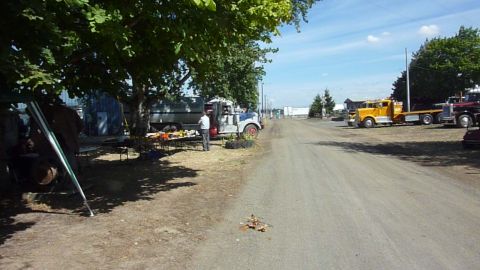 1981 Kenworth W900A - A sunny day with multiple trucks parked on a dirt road.