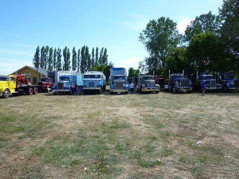 1981 Kenworth W900A - A variety of semi-trucks are parked in a line on a sunny day.