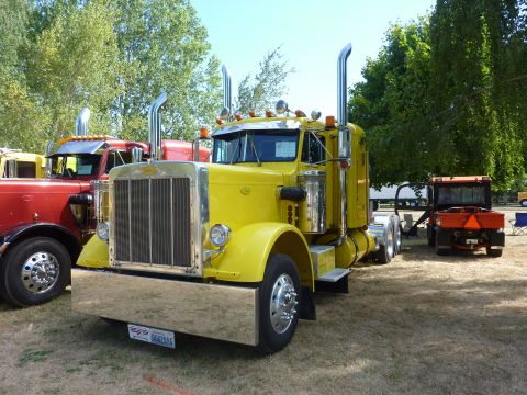 1981 Kenworth W900A - Two semi-trucks and a tractor are parked outdoors on a sunny day.