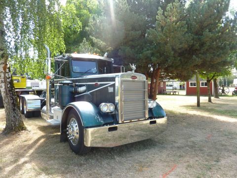 1981 Kenworth W900A - A classic Peterbilt 359 semi-truck is parked on a grassy area with trees and buildings visible.