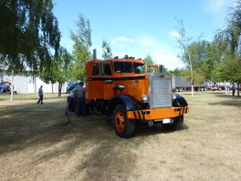1981 Kenworth W900A - An orange semi-truck with a prominent chrome grille is parked outdoors on a sunny day, with other vehicles visible in the background.