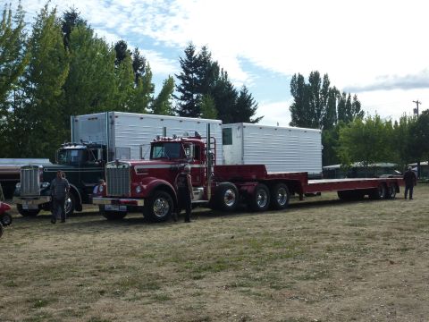 1981 Kenworth W900A - Two classic semi-trucks are parked on a grassy field under a cloudy sky.