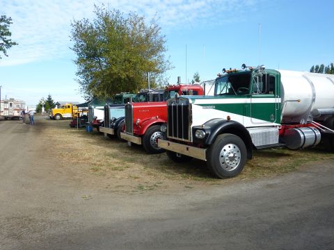 1981 Kenworth W900A - Several classic Kenworth trucks are lined up on a sunny day, with a tanker truck in the foreground.
