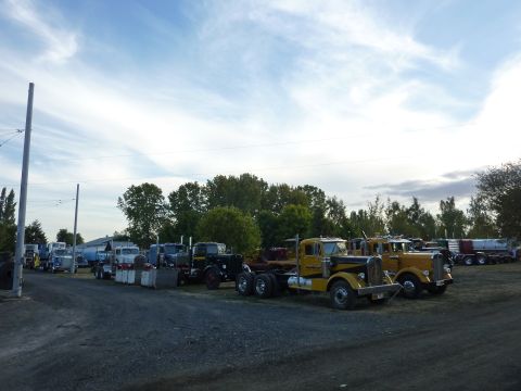 1981 Kenworth W900A - A collection of vintage trucks are parked in an outdoor lot under a cloudy sky.