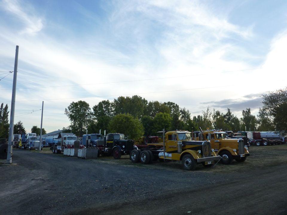 Several old trucks parked in a lot, some yellow, some dark colored