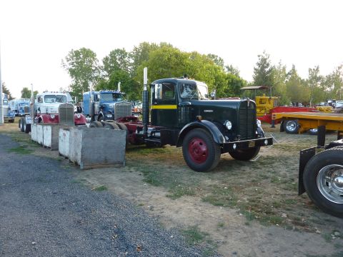 1981 Kenworth W900A - A dark green semi-truck with a yellow stripe and red wheels is parked in a lot with other trucks.