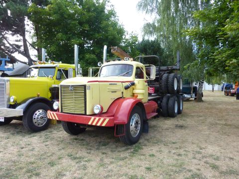 1981 Kenworth W900A - Two vintage trucks, one yellow and red with a grapple, are parked on a grassy field under trees.