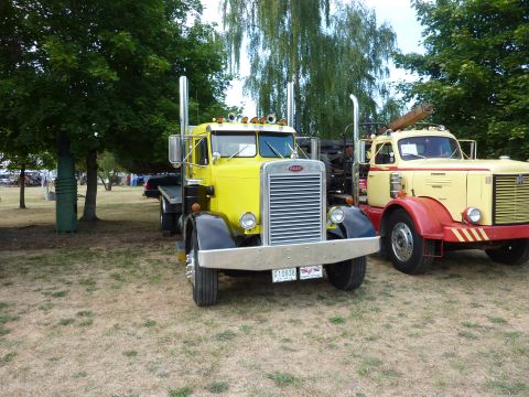 1981 Kenworth W900A - A yellow semi-truck is parked on a grassy field, with another truck visible to its right.