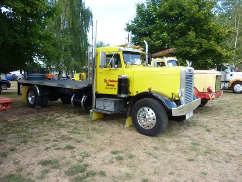 1981 Kenworth W900A - A yellow flatbed semi-truck is parked on grass with other trucks in the background.