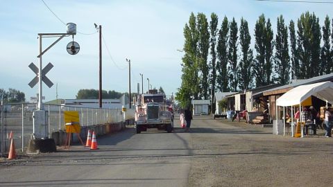 1981 Kenworth W900A - A pink truck approaches a railroad crossing on a sunny day, with market stalls and tall trees lining the road.