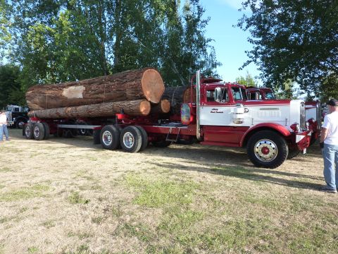 1981 Kenworth W900A - A logging truck and trailer carrying massive logs is parked on grassy ground under a clear sky.