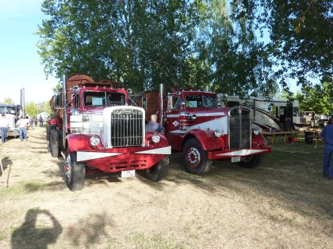 1981 Kenworth W900A - Two classic semi-trucks are displayed at an outdoor event, with trees and RVs in the background.