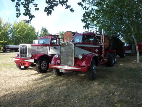 1981 Kenworth W900A - Two vintage semi-trucks, one with logs, are parked outdoors under trees.