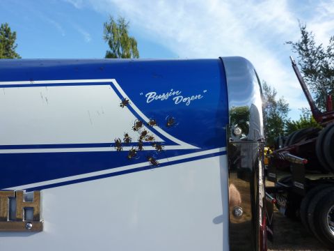 1981 Kenworth W900A - A close-up of a truck's side shows decorative bug decals and the text "Bussin Dozen" under a blue stripe.