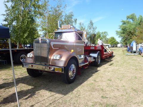 1981 Kenworth W900A - A classic Kenworth truck is parked on a grassy field under a clear blue sky, with trees and other vehicles in the background.