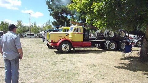 1981 Kenworth W900A - A man observes a row of trucks parked on a grassy field under trees.
