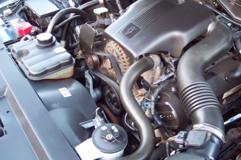 2001 Ford Crown Victoria - Close-up of a Ford V8 engine bay, focusing on the alternator and drive belts.