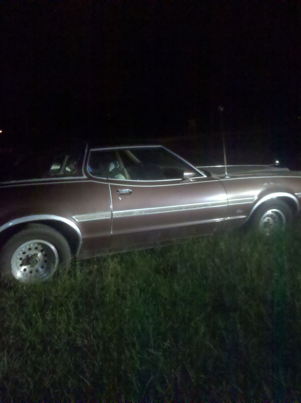 Maroon 1970s two-door coupe in side profile at night in tall grass