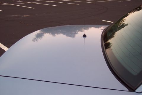 2001 Ford Crown Victoria - A close-up view of the roof and rear window of a light blue car, with reflections of trees and a parking lot visible.