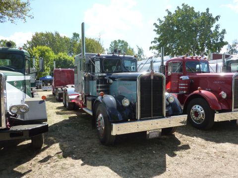1981 Kenworth W900A - A row of vintage Kenworth semi-trucks are parked outdoors on a sunny day.