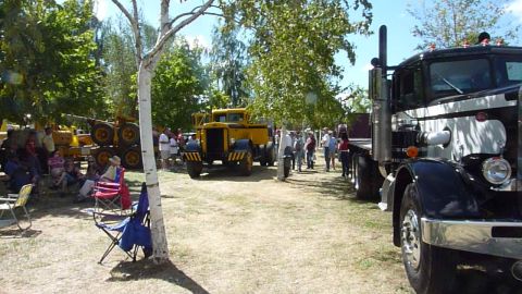 1981 Kenworth W900A photo