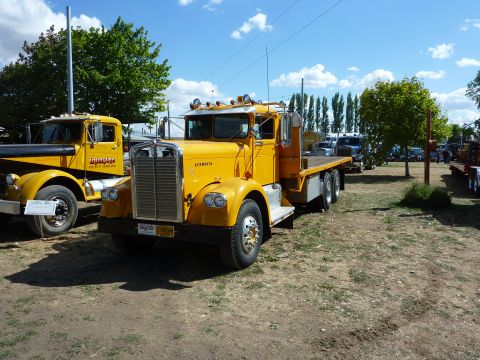 1981 Kenworth W900A photo
