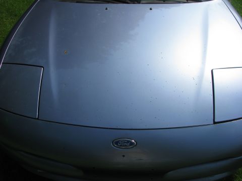 1994 Ford Probe - Close-up of a silver car's hood, showing the front emblem and retracted headlights.