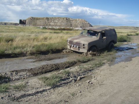 1985 Ford Bronco photo