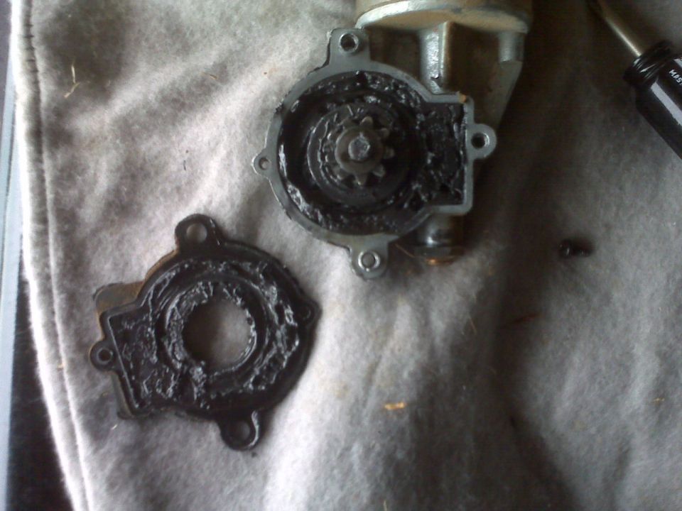 Opened small electric motor gearbox showing gear in black grease, with grease-covered cover plate beside it