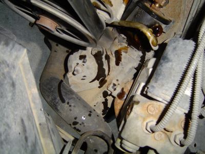 1995 Ford Bronco - Leaking steering gear box with visible fluid drips and associated engine parts.