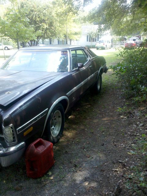 1974 Ford Elite - A 1974 Ford Elite coupe sits on a dirt path, partially obscured by foliage, with a red gas can nearby.