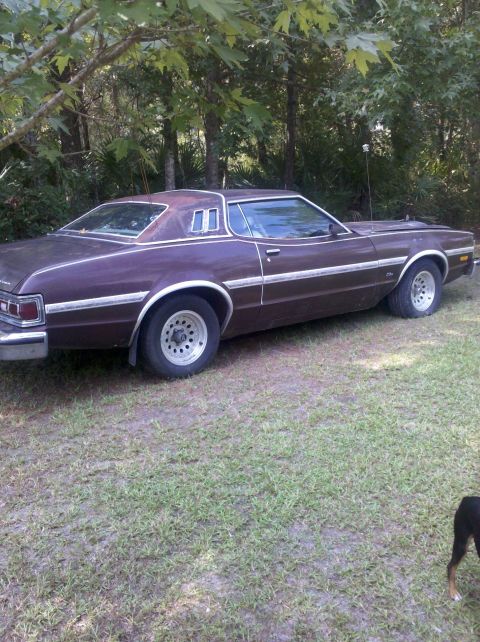 1974 Ford Elite - This 1974 Ford Elite coupe is seen from the side, parked outdoors on a grassy area.