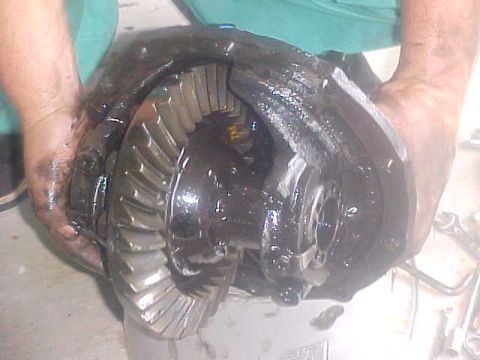 1996 Ford Bronco - A close-up view of a greasy differential gear assembly being held by two hands.