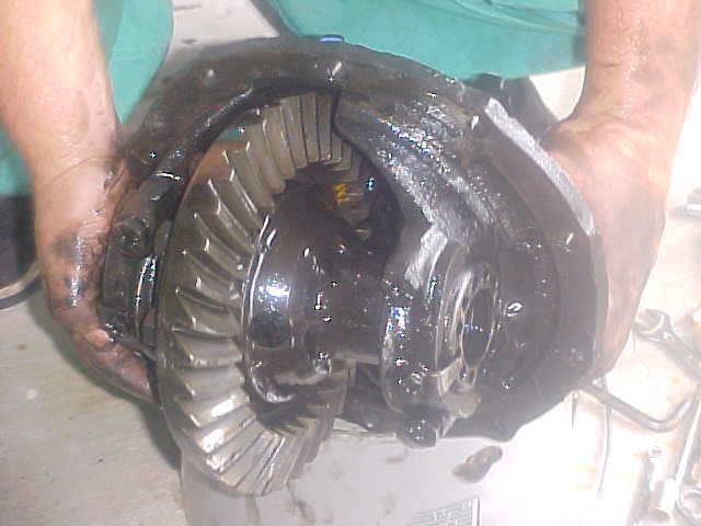 Someone's hands holding a greasy differential gear assembly